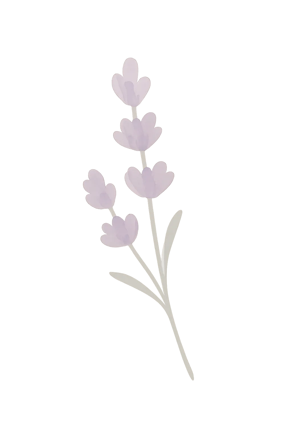 Lavander Background Accent