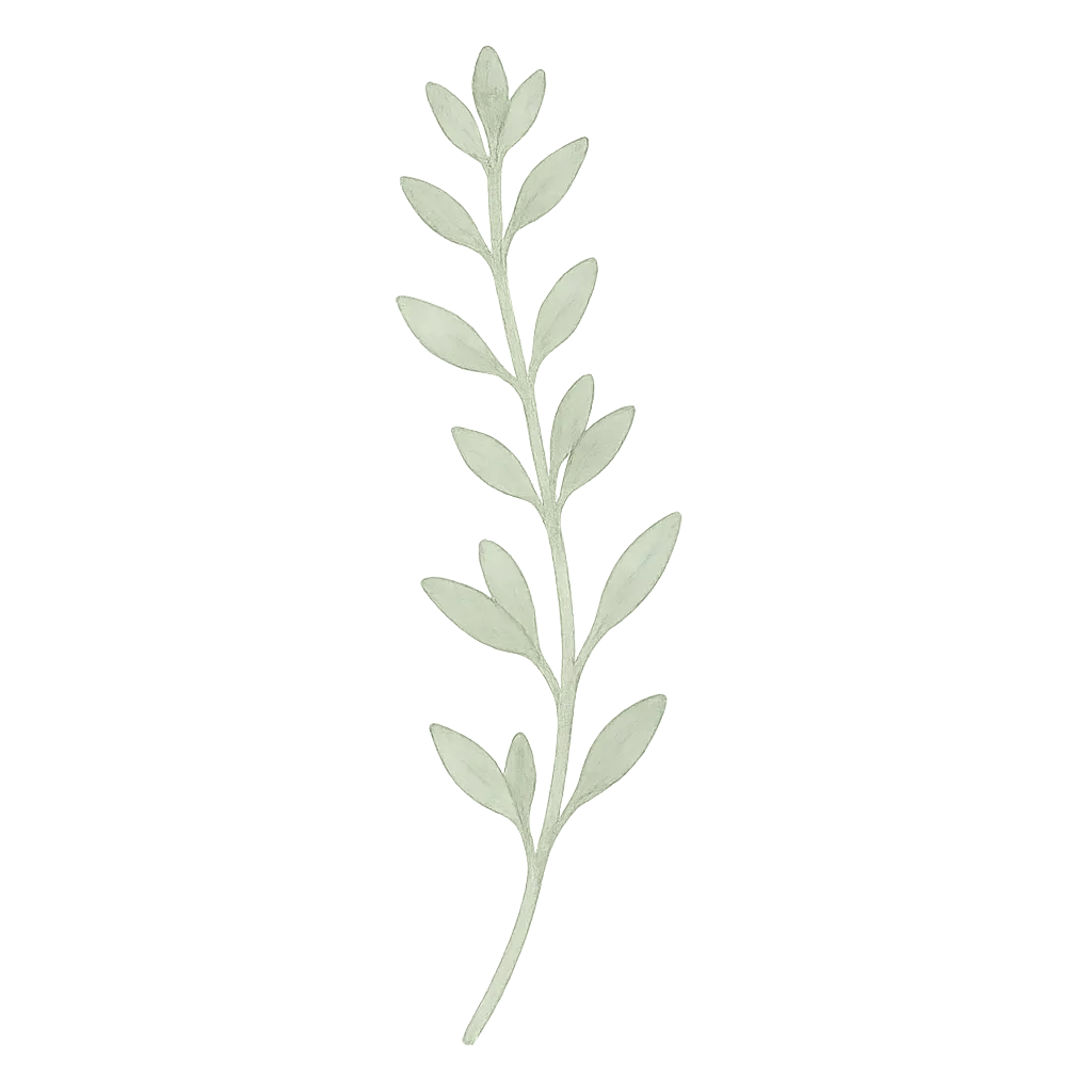 Thyme Background Accent